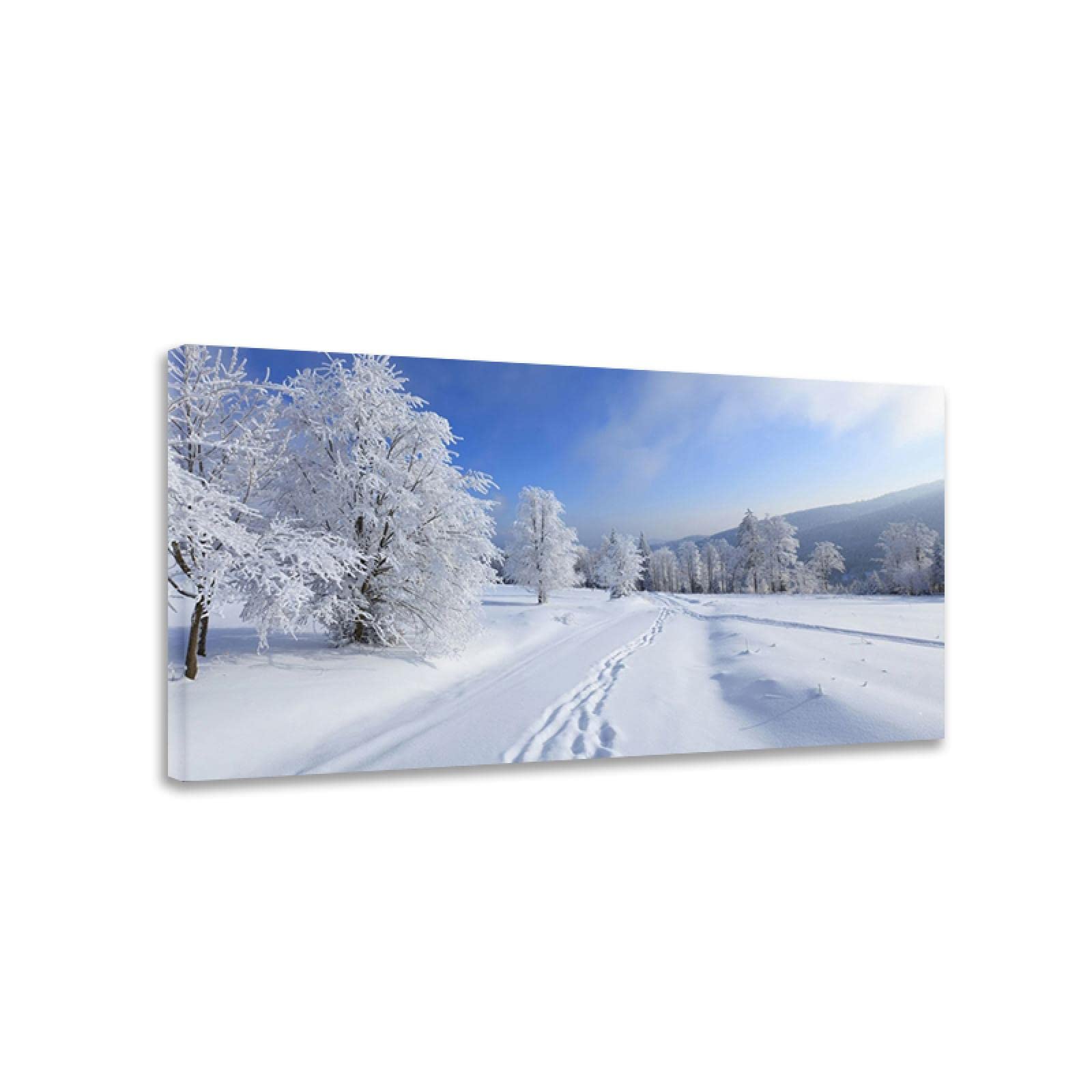 Amazon.co.jp: 冬の雪; 冬の風景のポスターと版画。自然の風景